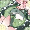[Hexio