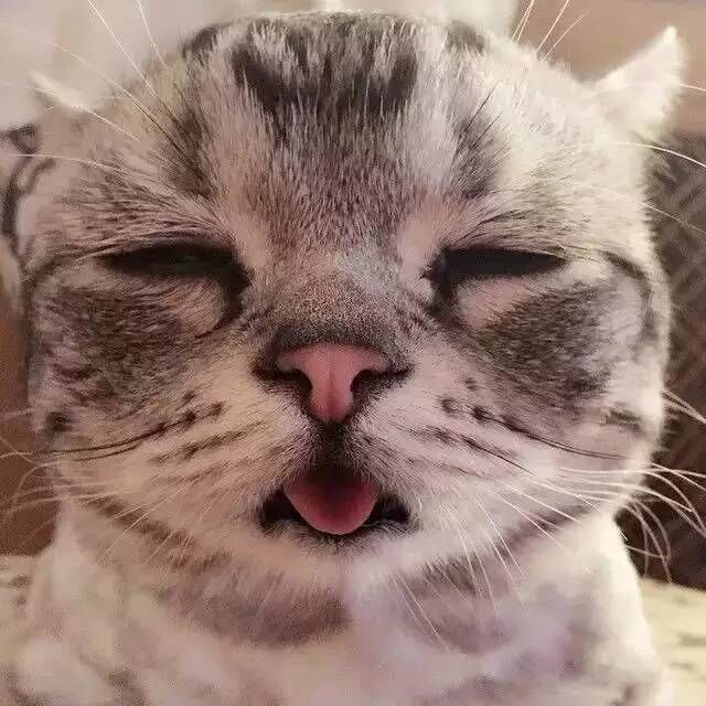 ᝰℳℴ
