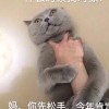 厌世的头像-LSPosed中文网