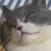 。_208