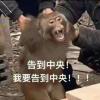 QILIN