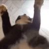 雪儿_233