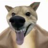兂