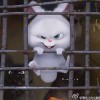 用户47988420的头像-iPA资源站