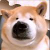 啊sir啊