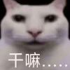 GzLxy的头像-哈基米社区