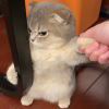 AAA防水陈哥