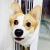 豆豆签官方/可代理/可贴牌的头像- 如烟笔记