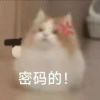 叶～