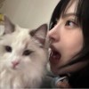 有月光