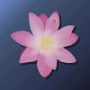 ray_401