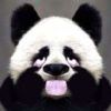 HEROHUA的头像-魔酷网