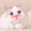 小白皓子