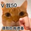 LZLDK的头像-魔酷网