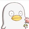 老MIO