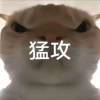 小⁣喵包绷带