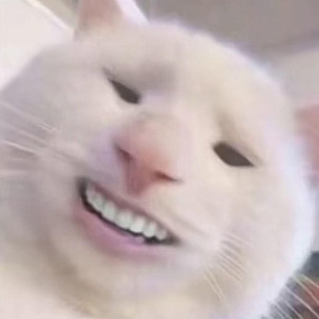 家琛