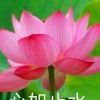 槐安_466
