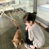 阿森的头像-iPA资源站