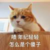 西北的柴郡猫-AIGC学习交流社区-AIGCCN