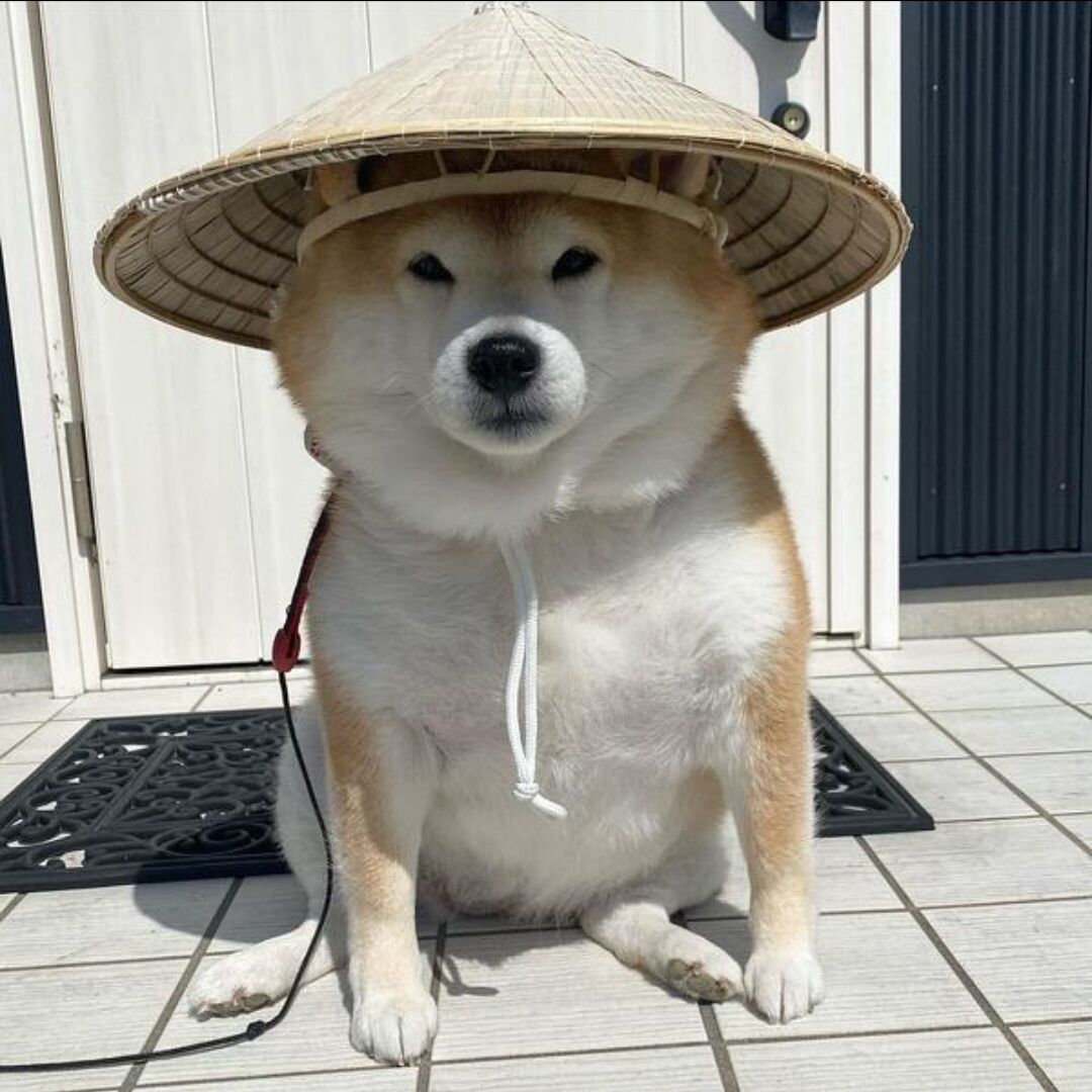 万万万万
