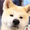 猛人
