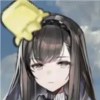 蓬莱山浣熊