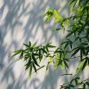 山海牧心的头像-iPA资源站