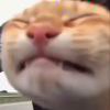 小尤
