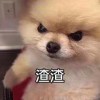 frankwo的头像 - 极核GetShell