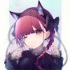 猫猫传教士