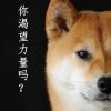 不赚到一千万