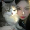 user75154244的头像-iPA资源站