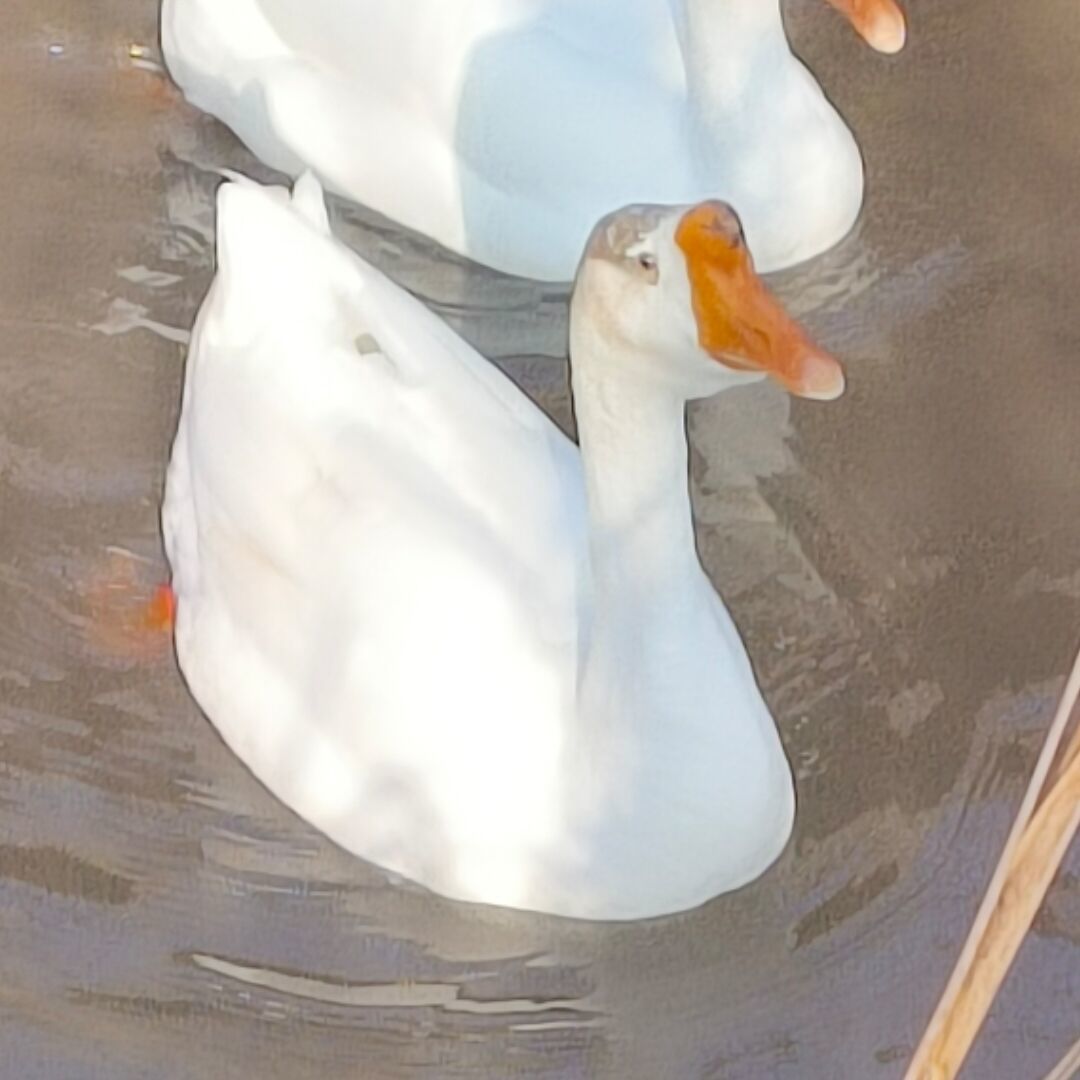 。