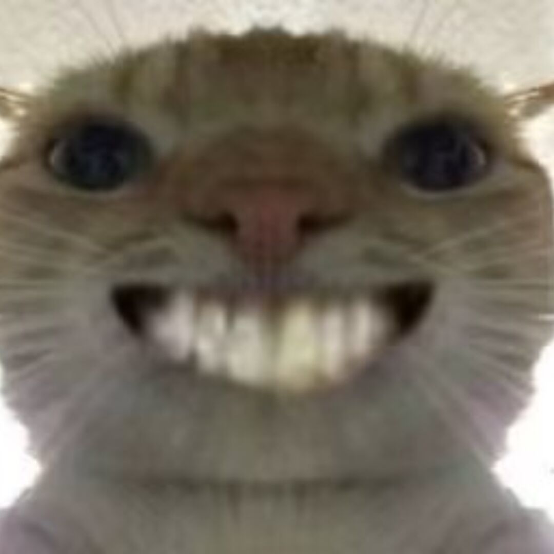 猫猫_639