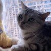 用户_7343