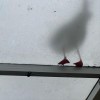 用户14641342的头像-iPA资源站
