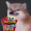 子辰是飞机试家