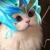 黑人大队长