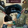 857891053ghj的头像-声链工坊