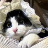 用户19047674的头像-iPA资源站