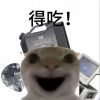 坦K我没K
