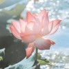 ネф̶イω_287