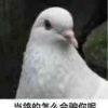 언제