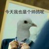 需菩提