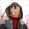 皮蛋solo周