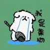 残月与圆月
