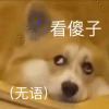 EveryOne的头像-【TITAIKE】T太科网