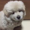 (ノД`)゜。一枼书-逸云源码网