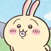 Usagi